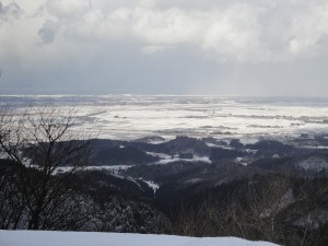 展望台からの景色