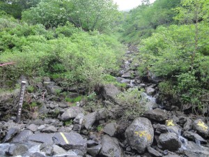 コマドリ沢分岐