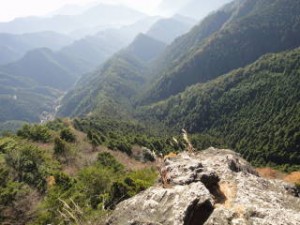 7-見晴らし怖いわ