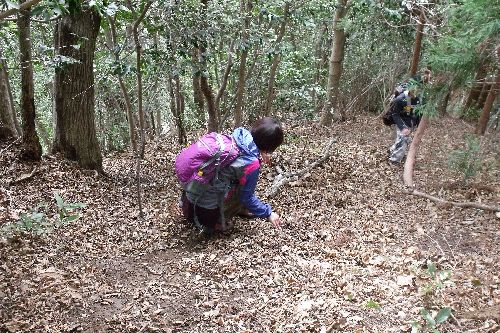 ロトさんの言うとおり!
