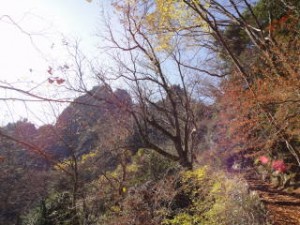 18-ふりかえれば