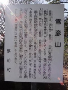 8-せつめいぴこ