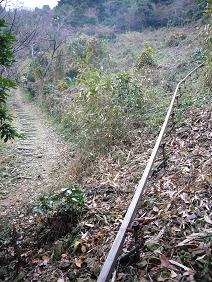 モノレールでらくらく