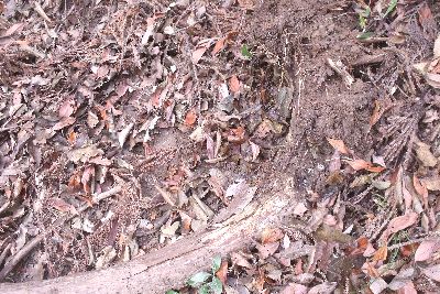 自分に厳しく、地球にやさしく