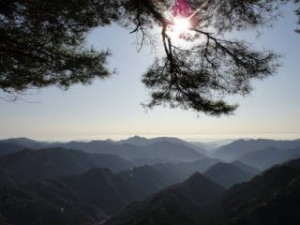 ６－見晴らしいわ