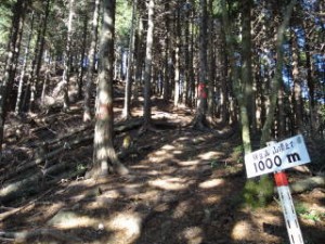 12-じゅりんじゅりん