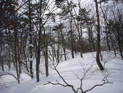 ちかづくピーク