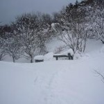 分岐看板埋まってまス