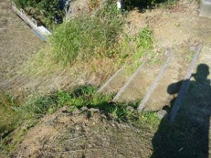 ここからおりて