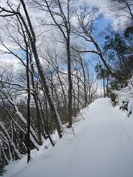 あるのは小動物の足跡ばかり