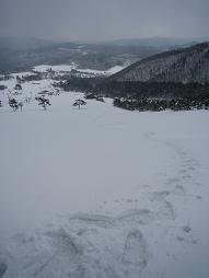 振り返ればトレースがいる