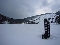 今年の三瓶は一味違う