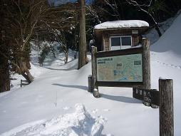 森の中のコースへ