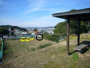 ここからの松江城方面