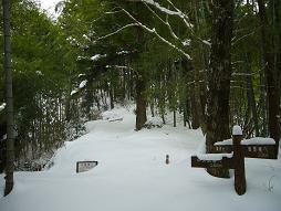 展望台をめざす