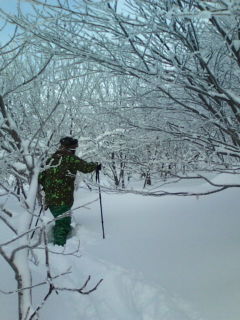 20110213094253 20110213094253