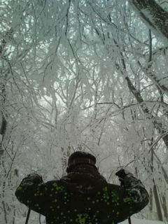 20110213095746 20110213095746