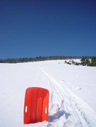 このそりはばけものか！