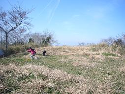 広々とした山頂
