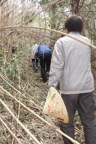 竹の門をくぐる