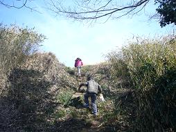 これは土塁なのか最後の坂