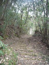 自然歩道はイイ感じ