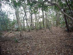 山頂への分岐、よくわからんかもしらんけど