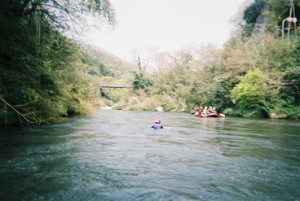 みーこさんは無事。