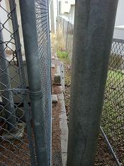 すみっこにいた