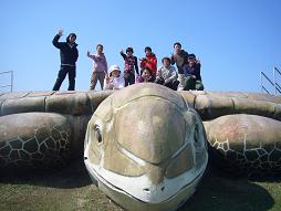 亀の甲羅でコウキサン