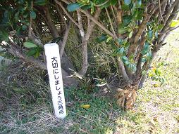 そのわりに存外な扱いだな