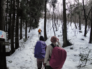 7もうちょっと登る