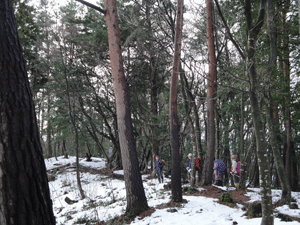 5雪のない登山道