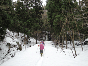 14下山中の林道
