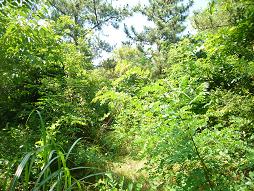 運命とかいて「さだめ」と読む