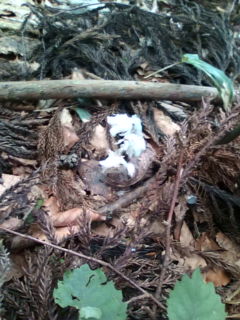 20110713130537 20110713130537