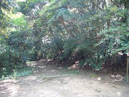 ここから核心へ