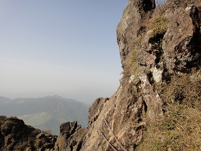 18.カニのヨコバイ？