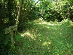 まともそうな道だ