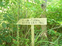 ご丁寧に看板を発見