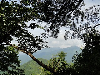 6.ひるぜんがみえるよ