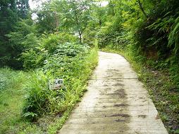 いけそうなきがする