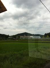 めざすいだたき