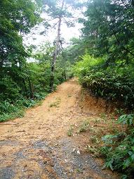 こっからは歩き