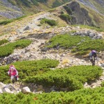 20241388_1329043935_107large