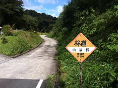 林道山後線