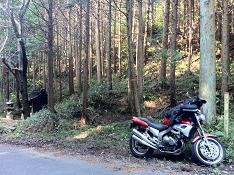 じゃじゃ馬と御堂