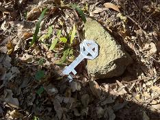 おさえきれない