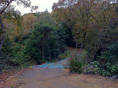 しっかしどこまで