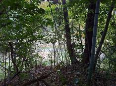 あそこにみえてますやん